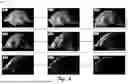 Fig. 07 - COMPRESSED REPRESENTATIONS FOR APPEARANCE OF FIBER-BASED DIGITAL ASSETS