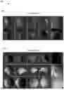 Fig. 09 - COMPRESSED REPRESENTATIONS FOR APPEARANCE OF FIBER-BASED DIGITAL ASSETS