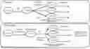 Fig. 01 - INHT26 TRANSGENIC SOYBEAN