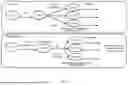 Fig. 10 - INHT26 TRANSGENIC SOYBEAN