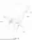 Fig. 09 - Folding Chair