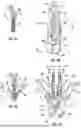 Fig. 06 - Tissue Grasping Devices And Related Methods