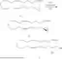 Fig. 66 - 20-HETE RECEPTOR (GPR75) ANTAGONISTS AND METHODS OF USE