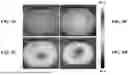 Fig. 06 - Plasmonic Heating Assisted Interfacial Polymerization for Reverse Osmosis Membrane Fabrication