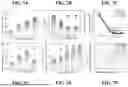 Fig. 08 - Plasmonic Heating Assisted Interfacial Polymerization for Reverse Osmosis Membrane Fabrication