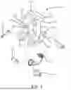 Fig. 06 - CARGO RESTRAINT ACTUATOR ASSEMBLY