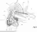 Fig. 02 - DERAILLEUR FOR A BICYCLE