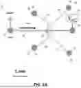 Fig. 02 - LENGTH-SELECTIVE DIELECTROPHORETIC MANIPULATION OF SINGLE-WALLED CARBON NANOTUBES