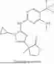Fig. 331 - COMPOUNDS, COMPOSITIONS, AND METHODS