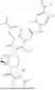 Fig. 554 - WRN INHIBITORS