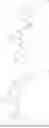 Fig. 744 - WRN INHIBITORS