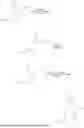 Fig. 2452 - MDM2 DEGRADERS AND USES THEREOF