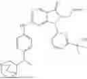 Fig. 445 - WEE1 INHIBITOR, PREPARATION THEREFOR, AND USE THEREOF