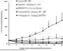Fig. 01 - SPIROCYCLIC COMPOUND AS KRAS-G12C INHIBITOR