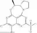 Fig. 445 - POLYCYCLIC FUSED RING DERIVATIVES AND USE THEREOF