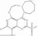 Fig. 486 - POLYCYCLIC FUSED RING DERIVATIVES AND USE THEREOF