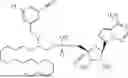 Fig. 197 - PHOSPHOLIPID COMPOUNDS AND METHODS OF MAKING AND USING THE SAME