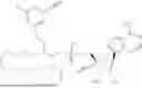 Fig. 960 - PHOSPHOLIPID COMPOUNDS AND METHODS OF MAKING AND USING THE SAME