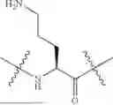 Fig. 294 - DLL3 TARGETING PEPTIDES AND CONSTRUCTS THEREOF