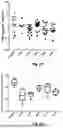 Fig. 04 - von Willebrand Factor Proteins for Treating Bleeding Disorders