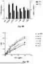 Fig. 08 - von Willebrand Factor Proteins for Treating Bleeding Disorders