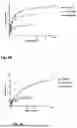 Fig. 09 - von Willebrand Factor Proteins for Treating Bleeding Disorders
