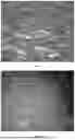 Fig. 02 - NOVEL RECYCLING PROCESS OF POLYETHYLENE