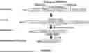 Fig. 02 - POLYNUCLEOTIDES ENCODING ENGINEERED MEGANUCLEASES HAVING SPECIFICITY FOR RECOGNITION SEQUENCES IN THE DYSTROPHIN GENE