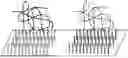 Fig. 01 - METHODS FOR LABELING DNA FRAGMENTS TO RECONSTRUCT PHYSICAL LINKAGE AND PHASE