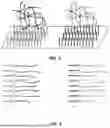 Fig. 04 - METHODS FOR LABELING DNA FRAGMENTS TO RECONSTRUCT PHYSICAL LINKAGE AND PHASE