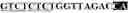 Fig. 07 - Lentiviral Vectors