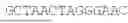 Fig. 85 - Lentiviral Vectors