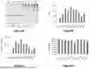 Fig. 08 - SELF-INACTIVATING LENTIVIRAL VECTOR ENCODING BETA- OR GAMMA-GLOBIN