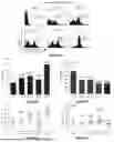 Fig. 13 - SELF-INACTIVATING LENTIVIRAL VECTOR ENCODING BETA- OR GAMMA-GLOBIN