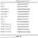 Fig. 20 - SELF-INACTIVATING LENTIVIRAL VECTOR ENCODING BETA- OR GAMMA-GLOBIN