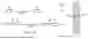 Fig. 30 - SELF-INACTIVATING LENTIVIRAL VECTOR ENCODING BETA- OR GAMMA-GLOBIN