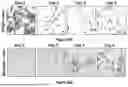 Fig. 37 - SELF-INACTIVATING LENTIVIRAL VECTOR ENCODING BETA- OR GAMMA-GLOBIN