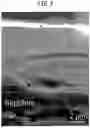 Fig. 10 - METHOD OF PRODUCING SINGLE CRYSTAL AlN, SINGLE CRYSTAL AlN, AND SINGLE CRYSTAL AlN PRODUCTION APPARATUS