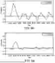 Fig. 07 - BRICKS EXHIBITING NEGATIVE POISSON`S RATIO