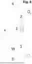 Fig. 06 - METHOD FOR INCREASING AN ENTROPY FLOW IN A TURBOMACHINE