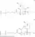 Fig. 02 - TUNABLE ELECTROOSMOTIC FLOW POLYMER COATED CAPILLARY