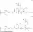 Fig. 04 - TUNABLE ELECTROOSMOTIC FLOW POLYMER COATED CAPILLARY