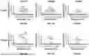 Fig. 07 - UNBIASED AND HIGH-THROUGHPUT IDENTIFICATION AND QUANTIFICATION OF HOST CELL PROTEIN IMPURITIES BY AUTOMATED ITERATIVE LC-MS/MS (HCP-AIMS) FOR THERAPEUTIC PROTEIN DEVELOPMENT