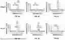 Fig. 08 - UNBIASED AND HIGH-THROUGHPUT IDENTIFICATION AND QUANTIFICATION OF HOST CELL PROTEIN IMPURITIES BY AUTOMATED ITERATIVE LC-MS/MS (HCP-AIMS) FOR THERAPEUTIC PROTEIN DEVELOPMENT