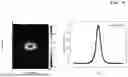 Fig. 10 - OPTICAL PHASED ARRAY ANTENNA FOR LIDAR COMBINED WITH OPA AND MEMS MIRROR AND LIDAR INCLUDING THE SAME