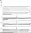 Fig. 01 - Method and System for Estimating the Cardinality of Information