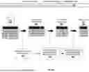 Fig. 07 - EXECUTION OF A SECOND QUERY ON A SET OF DATA IDENTIFIED FOR EXECUTION OF A FIRST QUERY