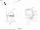 Fig. 84 - CORRECTING SPEECH IMPAIRMENT BASED ON FACIAL MOVEMENTS