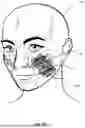 Fig. 14 - INTERPRETING FACIAL SKIN MOVEMENTS FROM LIGHT REFLECTIONS