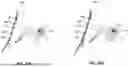 Fig. 29 - INTERPRETING FACIAL SKIN MOVEMENTS FROM LIGHT REFLECTIONS